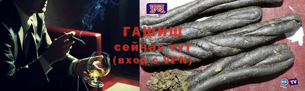 СК Инта