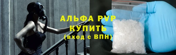 ПСИЛОЦИБИНОВЫЕ ГРИБЫ Белокуриха