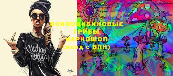 ПСИЛОЦИБИНОВЫЕ ГРИБЫ Белокуриха
