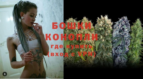 ПСИЛОЦИБИНОВЫЕ ГРИБЫ Белокуриха