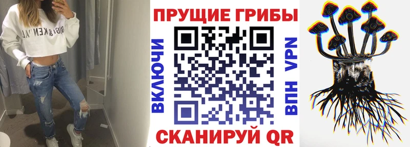 Галлюциногенные грибы Psilocybine cubensis  продажа наркотиков  Елабуга 